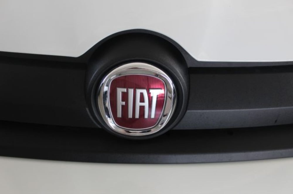 Fiat Panda Cross usata a Terni (20)