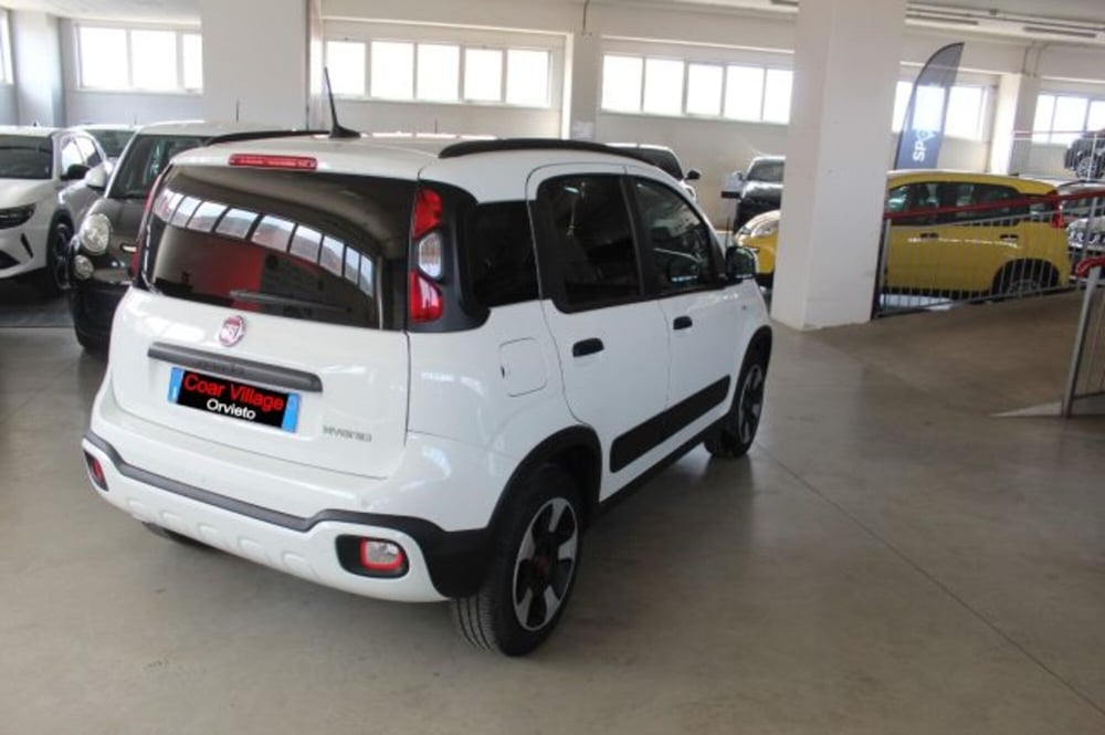 Fiat Panda Cross usata a Terni (4)