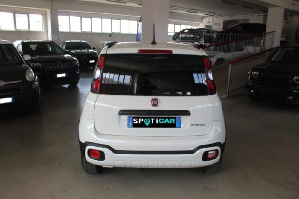 Fiat Panda Cross usata a Terni (5)