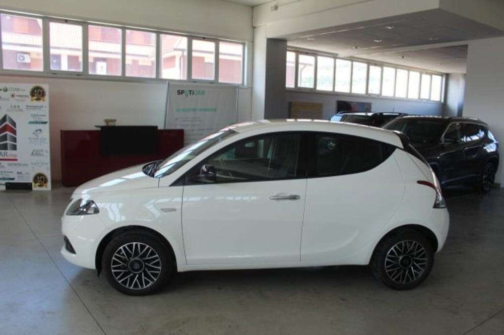Lancia Ypsilon usata a Terni (3)