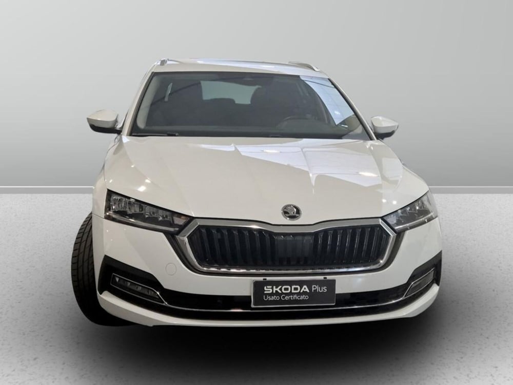 Skoda Octavia Station Wagon usata a Padova (7)