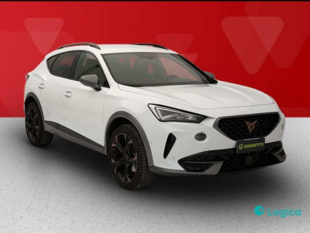 Cupra Formentor usata a Torino (7)