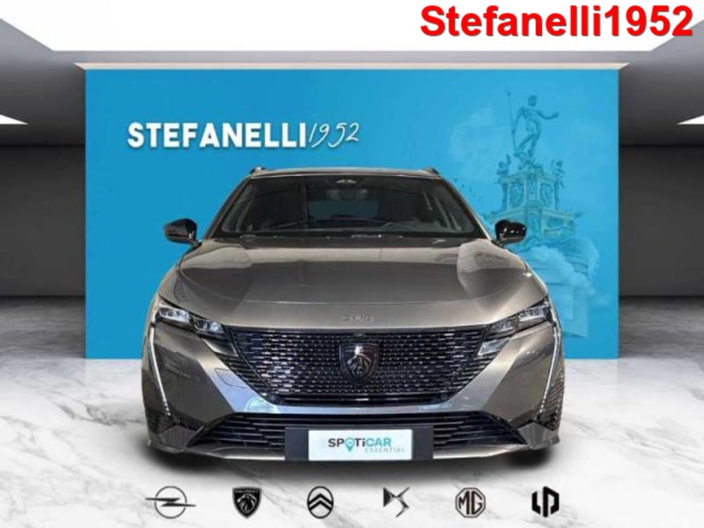 Peugeot 308 SW usata a Bologna (2)