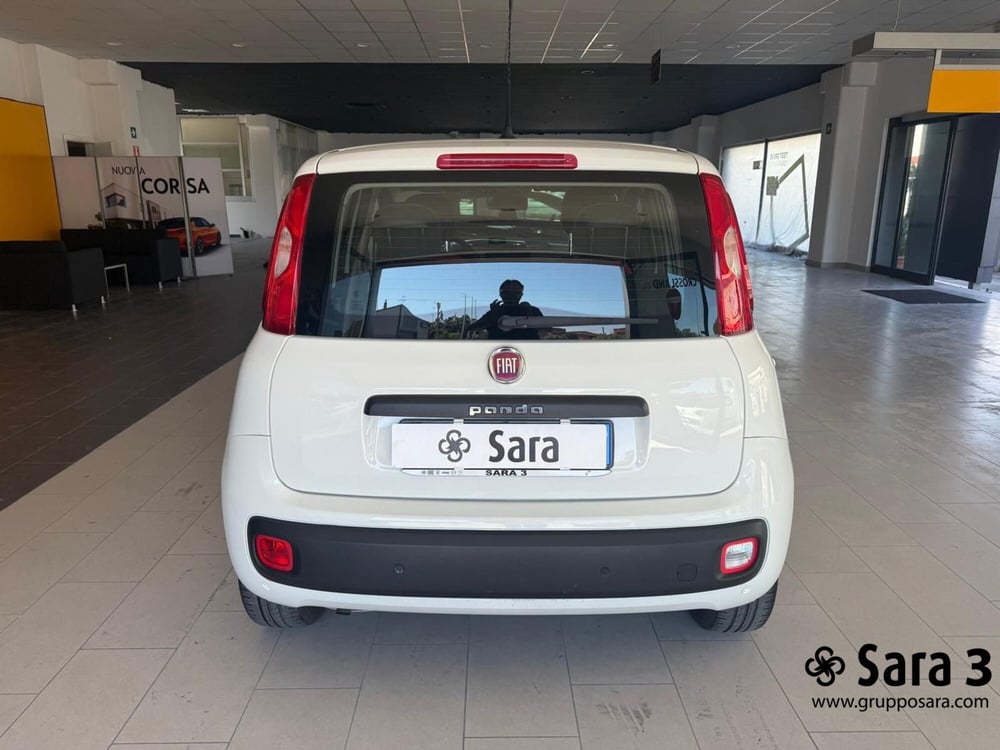 Fiat Panda usata a Benevento (8)
