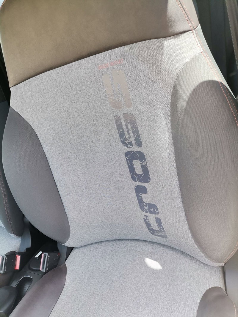 Fiat Panda Cross usata a Salerno (20)