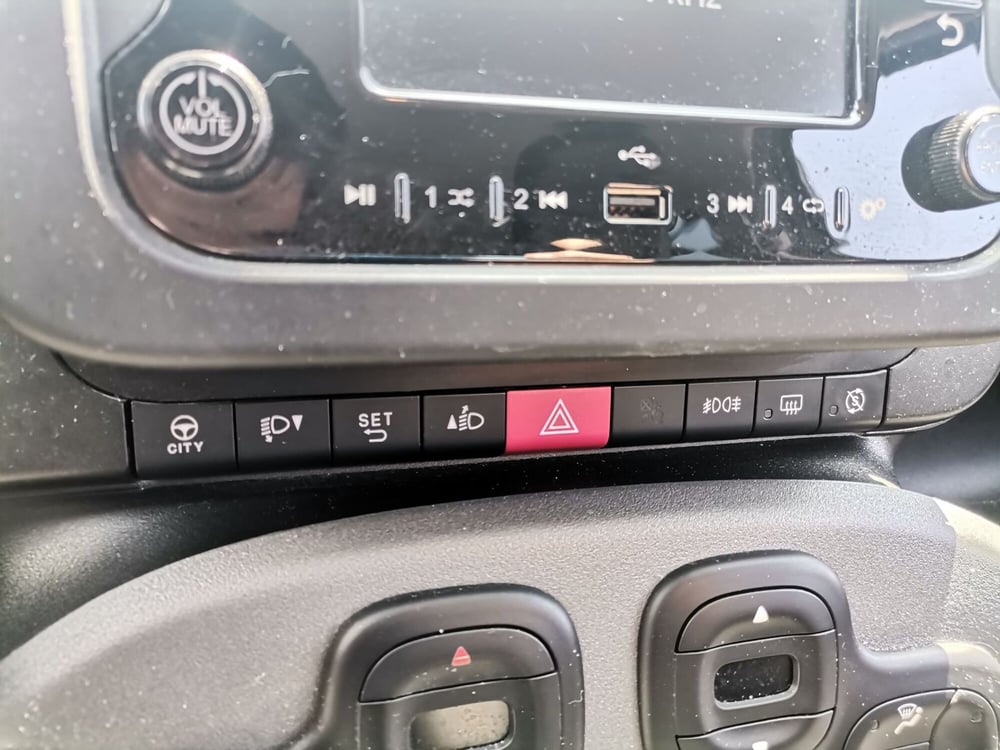 Fiat Panda Cross usata a Salerno (17)