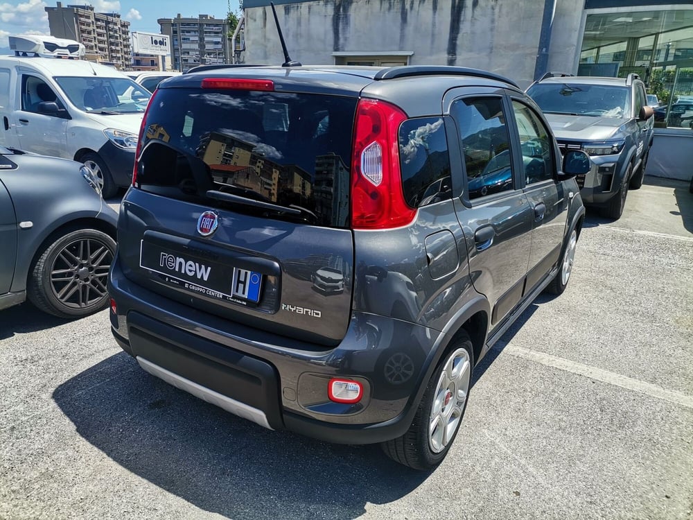 Fiat Panda Cross usata a Salerno (6)