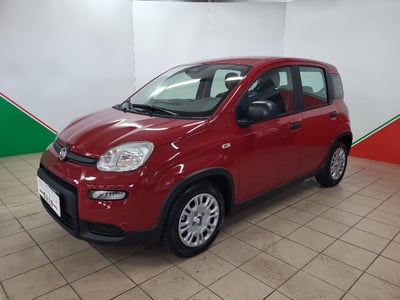 Fiat Panda Cross Cross 1.0 FireFly S&amp;S Hybrid del 2024 usata a Terranuova Bracciolini