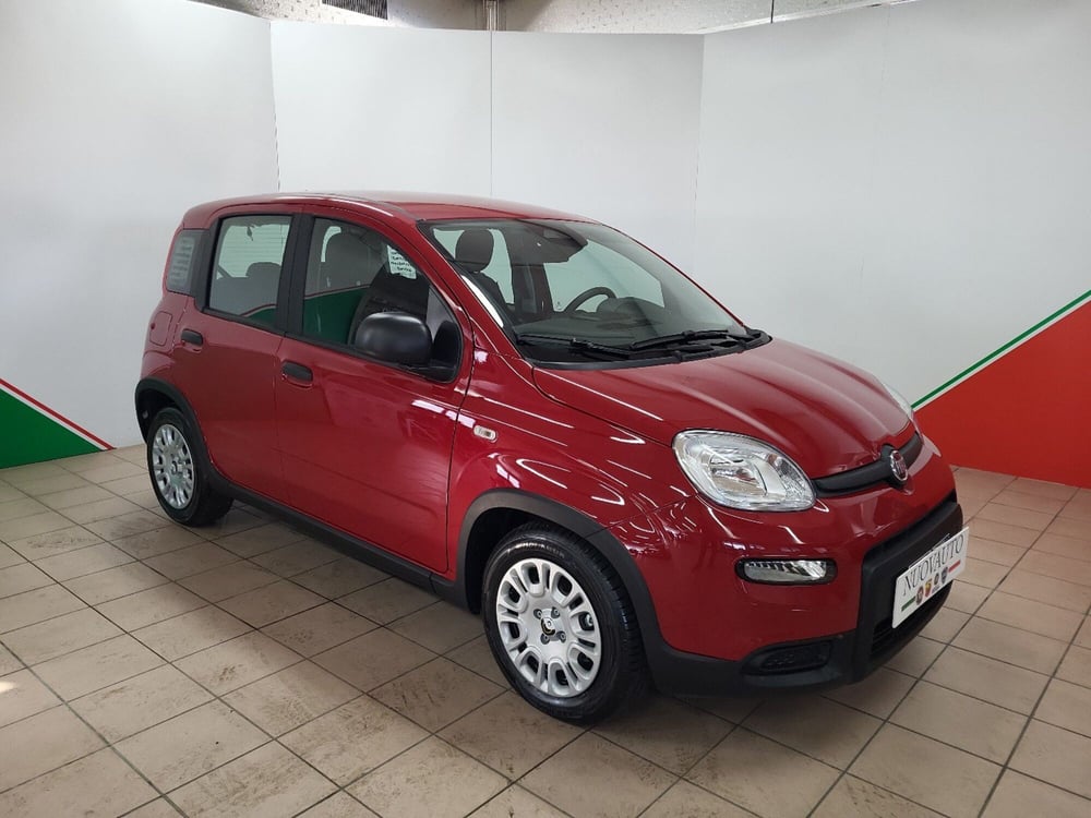 Fiat Panda Cross usata a Arezzo (2)