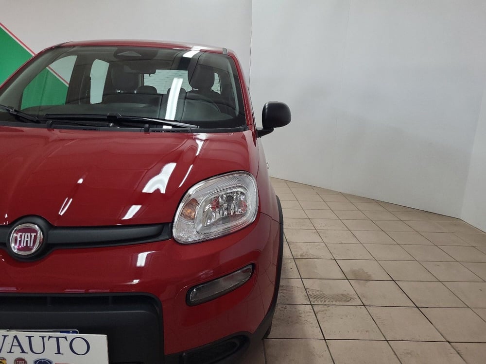 Fiat Panda Cross usata a Arezzo (3)