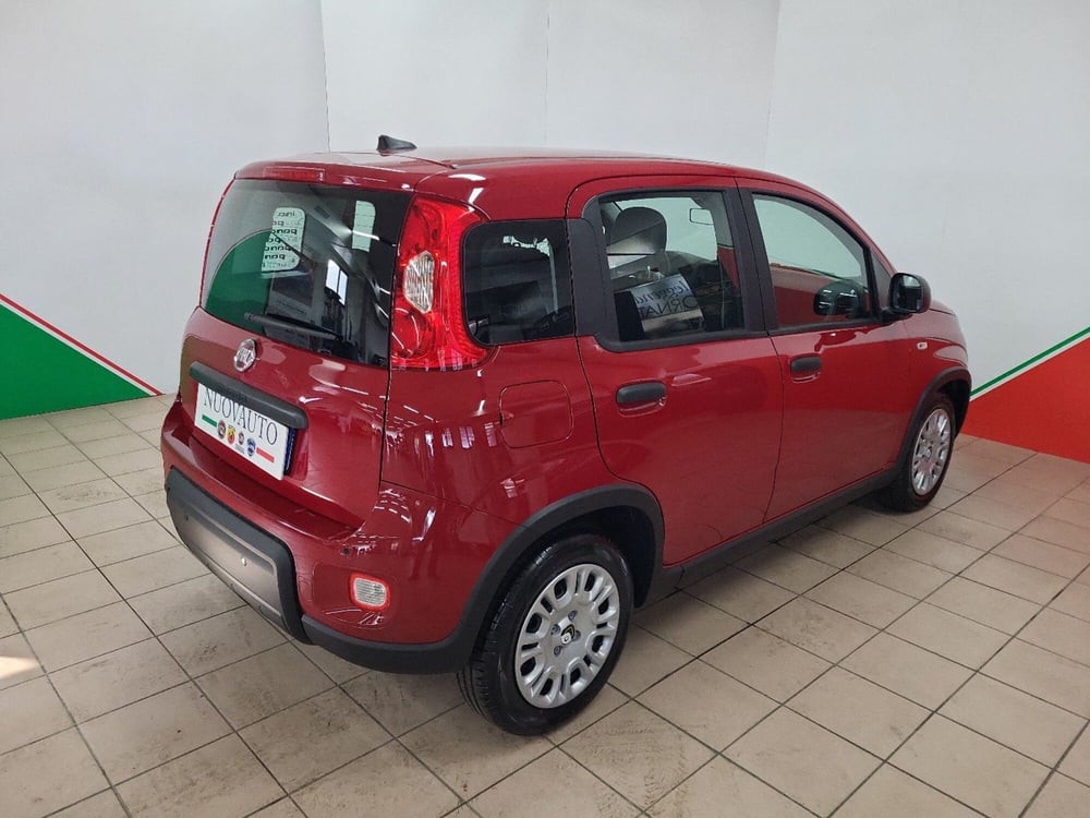 Fiat Panda Cross usata a Arezzo (4)