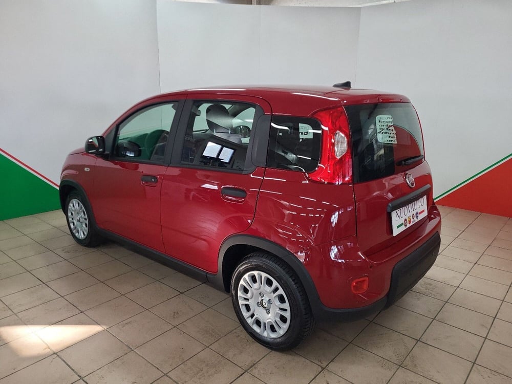 Fiat Panda Cross usata a Arezzo (5)