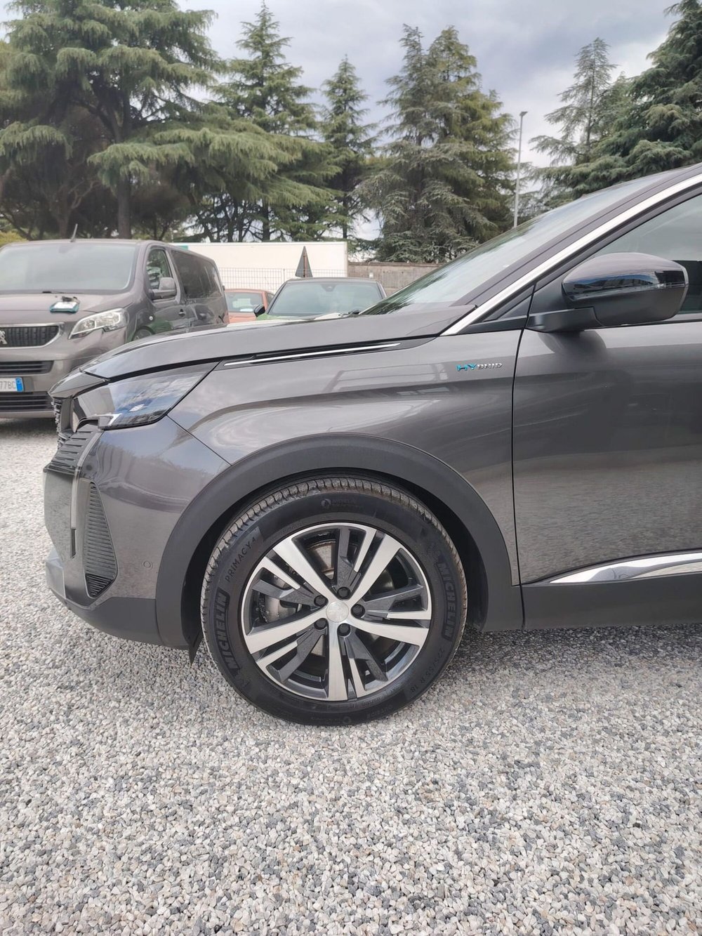 Peugeot 3008 usata a Massa-Carrara (19)