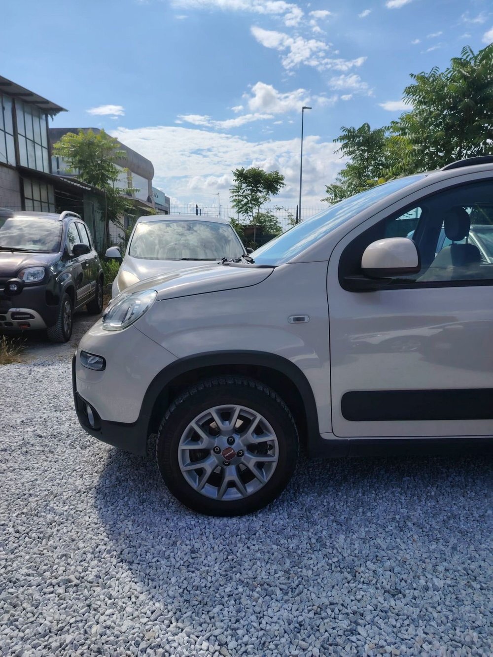 Fiat Panda usata a Massa-Carrara (19)