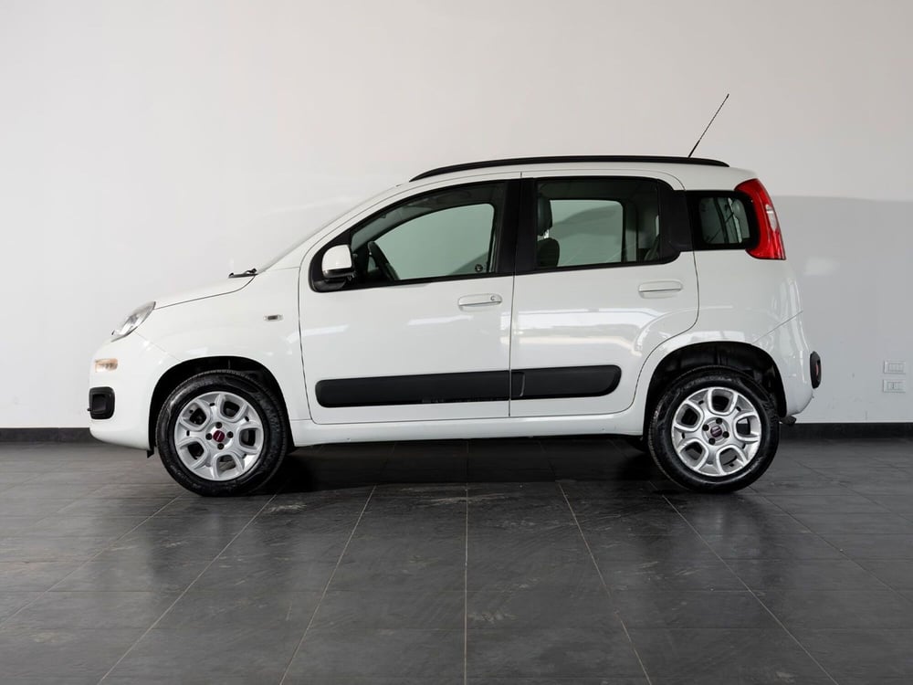 Fiat Panda usata a Foggia (2)