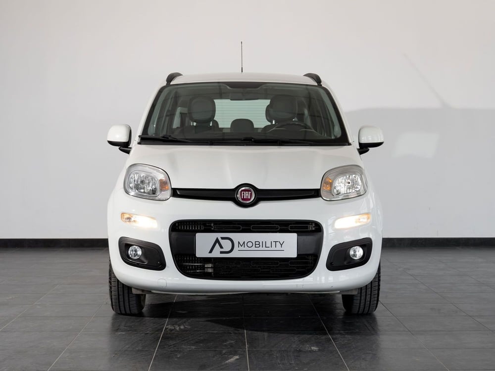 Fiat Panda usata a Foggia (4)