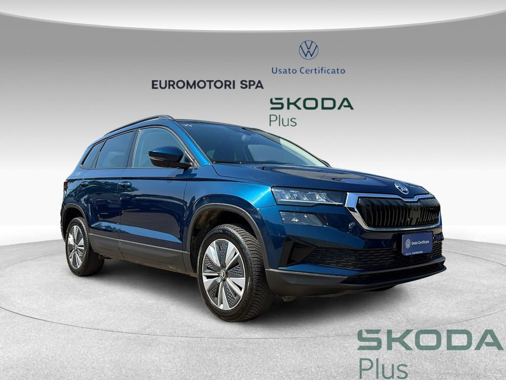 Skoda Karoq usata a Grosseto (6)