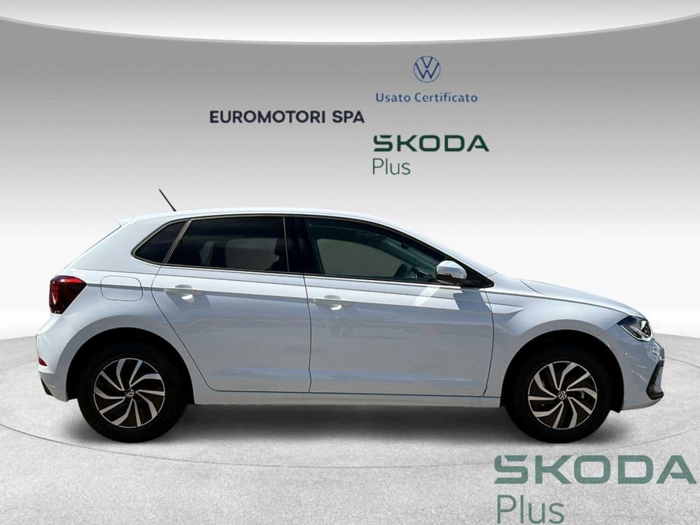 Volkswagen Polo nuova a Grosseto (5)