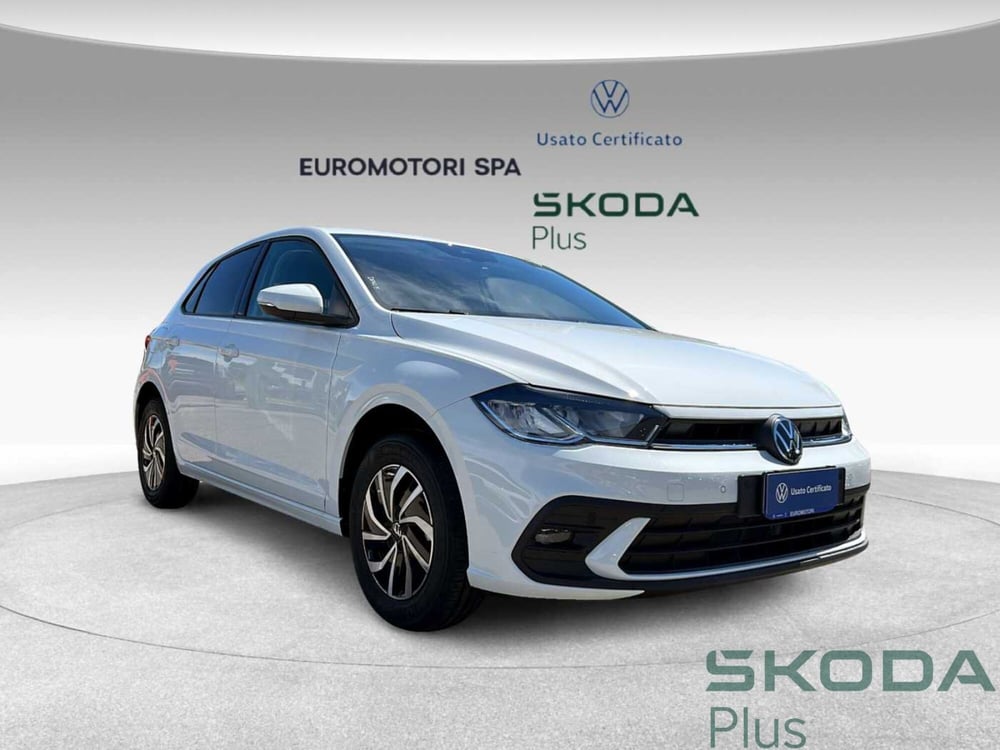 Volkswagen Polo nuova a Grosseto (6)