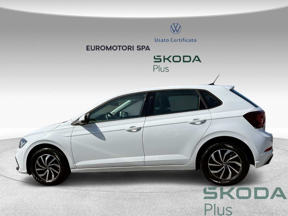 Volkswagen Polo usata a Siena (2)