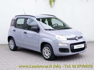 Fiat Panda 1.2 Easy del 2019 usata a Cologno Monzese