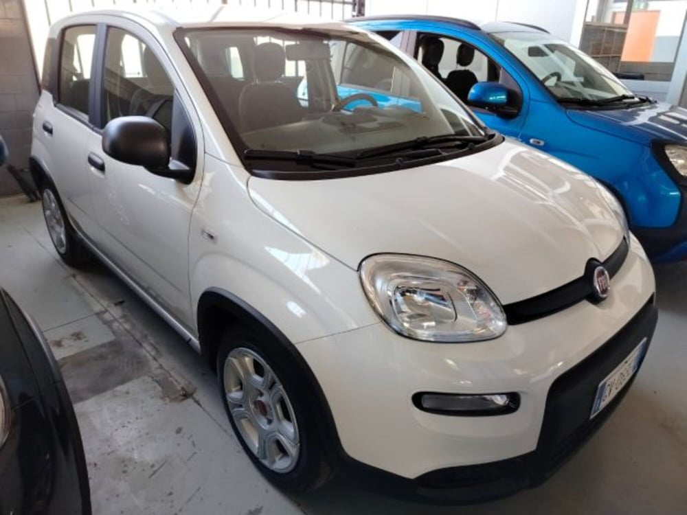 Fiat Panda usata a Forlì-Cesena (10)