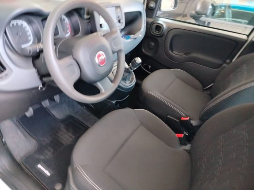 Fiat Panda usata a Forlì-Cesena (17)