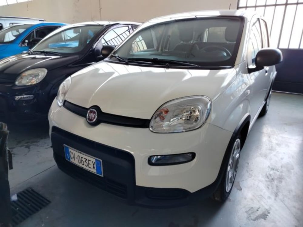 Fiat Panda usata a Forlì-Cesena (2)