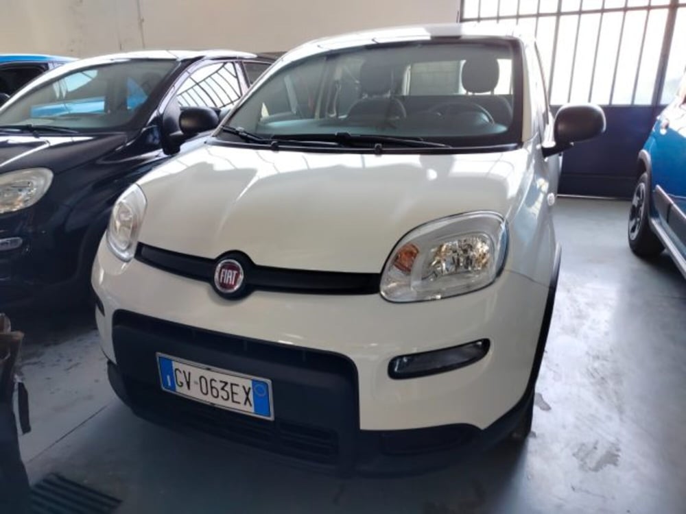 Fiat Panda usata a Forlì-Cesena (3)