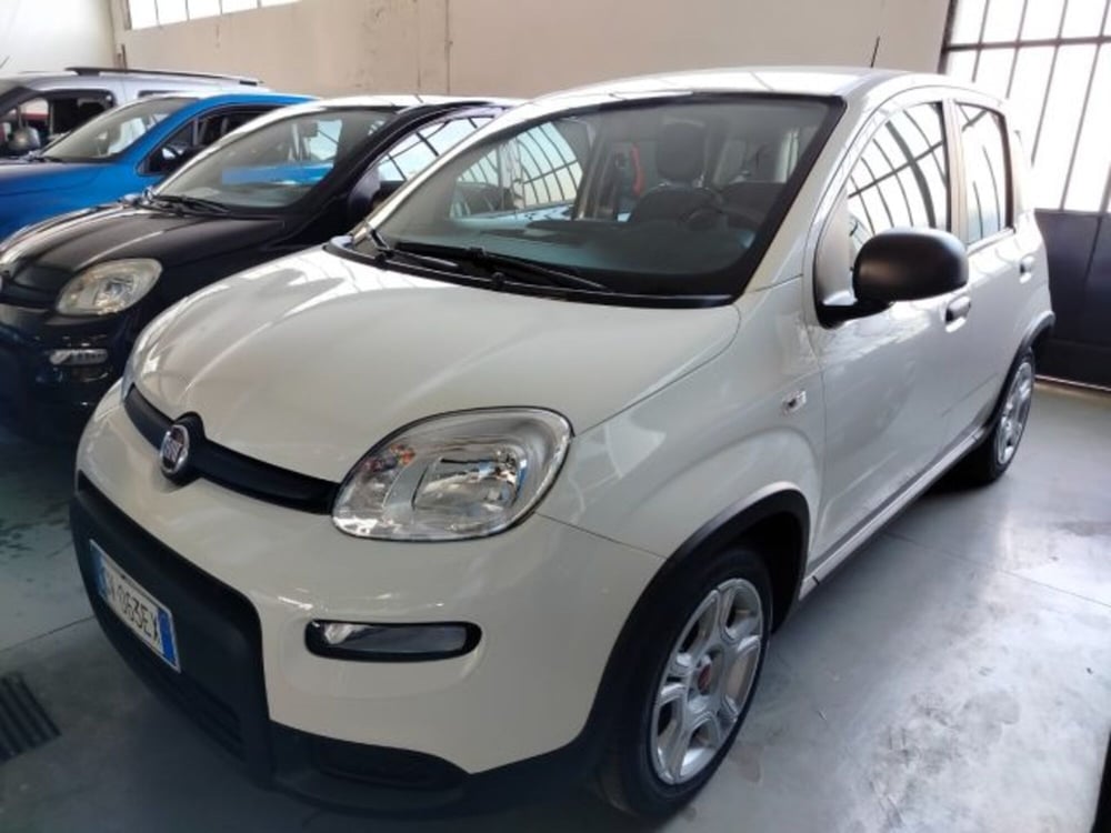 Fiat Panda usata a Forlì-Cesena (4)