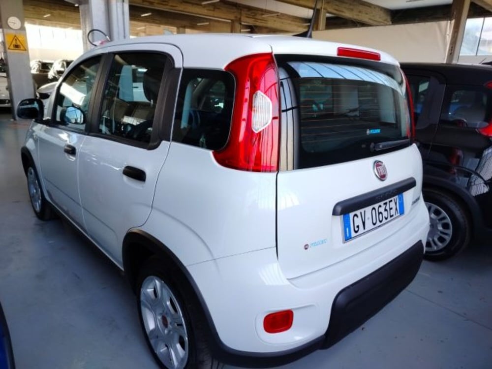 Fiat Panda usata a Forlì-Cesena (5)