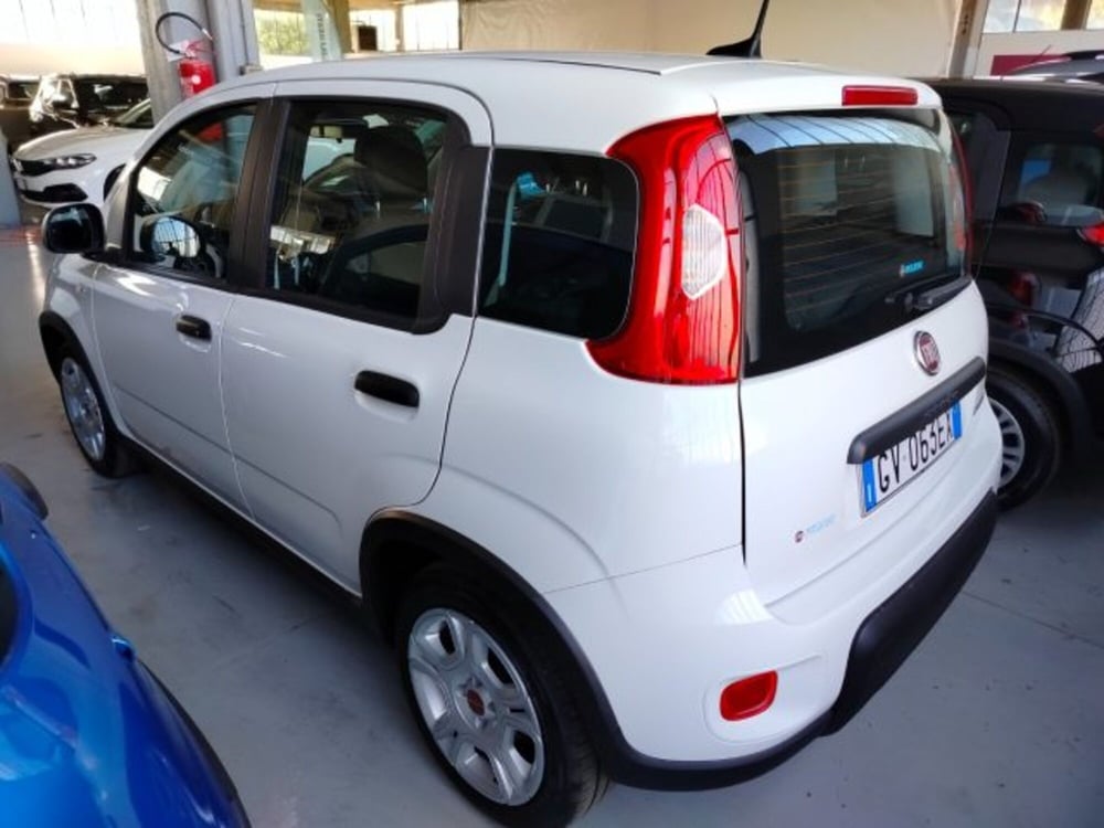 Fiat Panda usata a Forlì-Cesena (6)