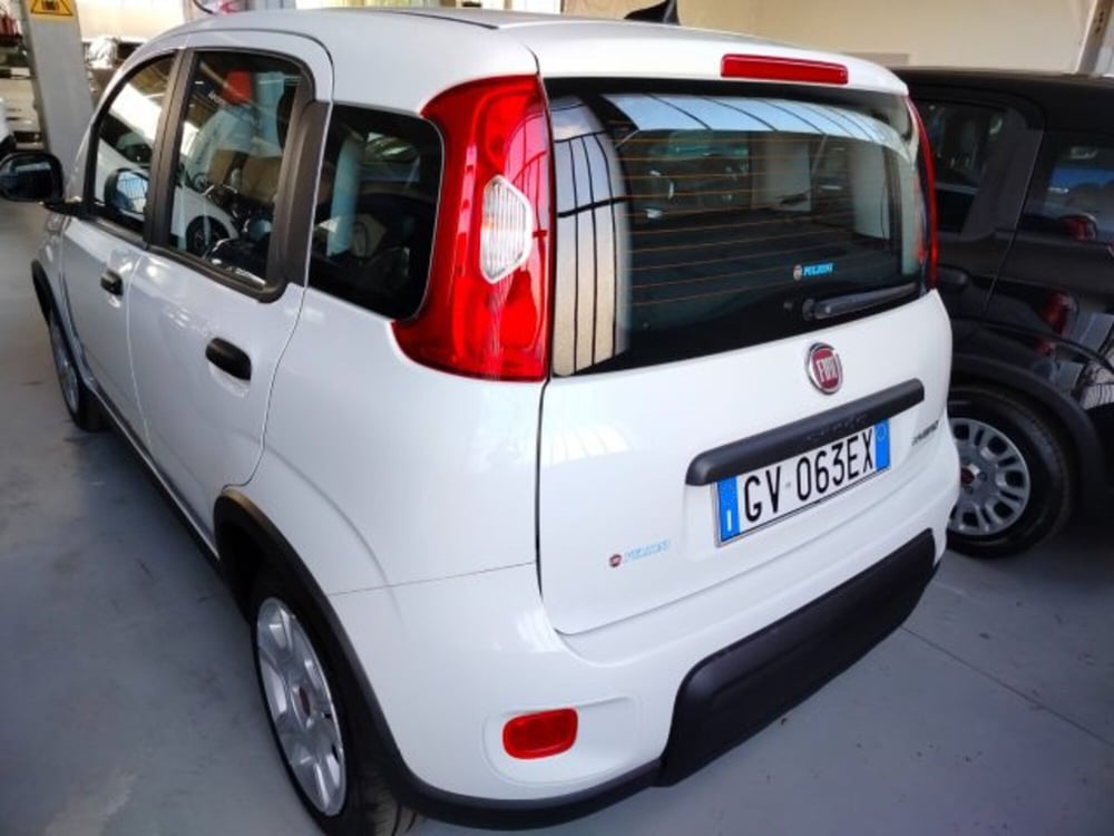 Fiat Panda usata a Forlì-Cesena (7)