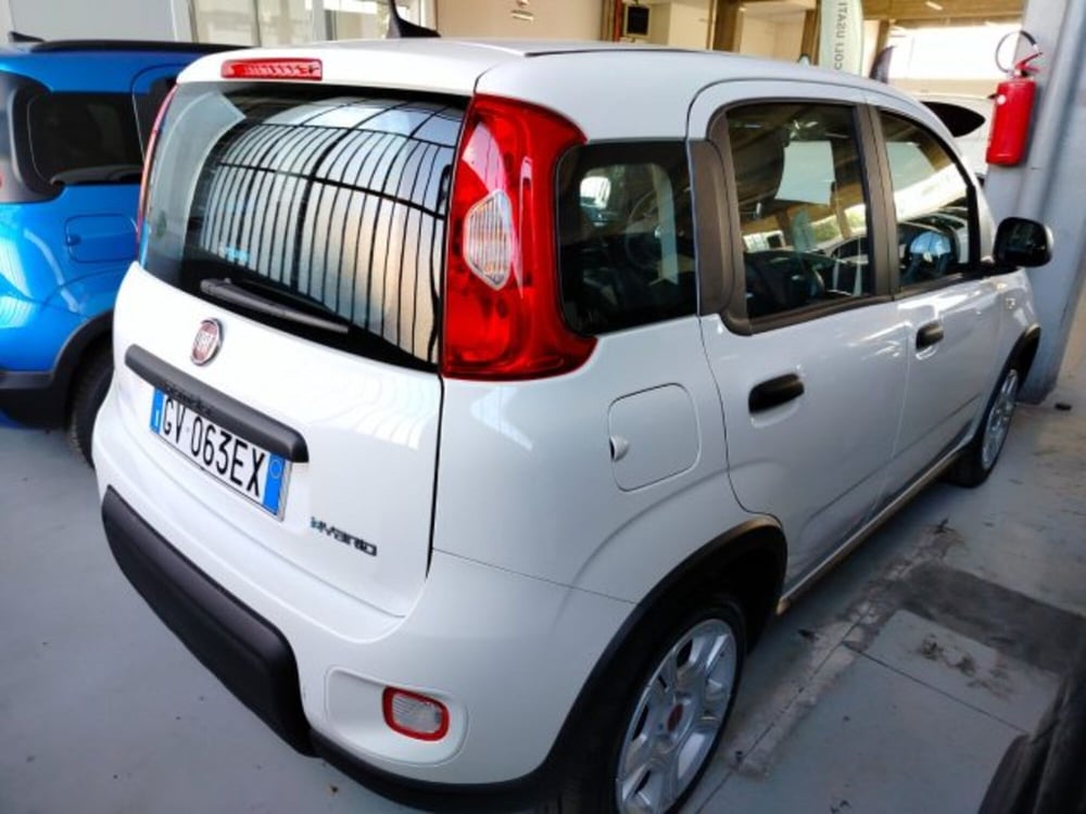 Fiat Panda usata a Forlì-Cesena (8)