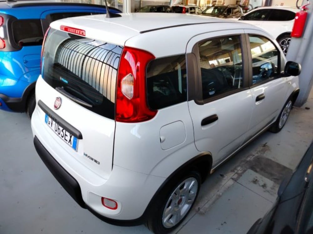 Fiat Panda usata a Forlì-Cesena (9)