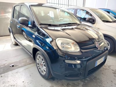 Fiat Panda 1.0 firefly hybrid s&amp;s 70cv 5p.ti del 2023 usata a Cesena