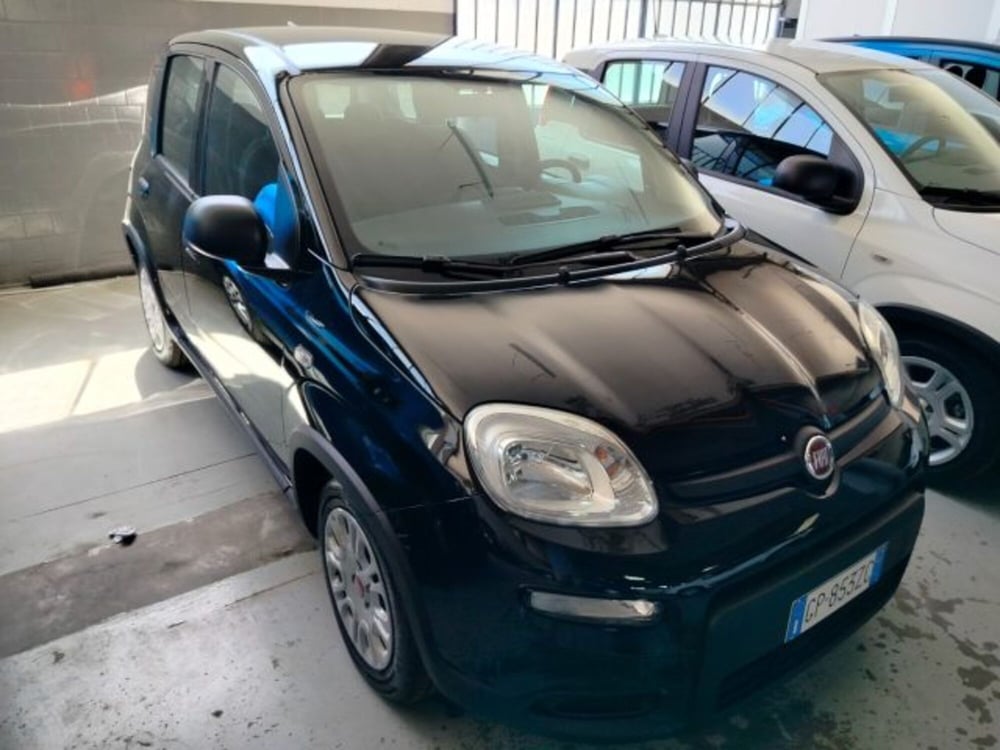 Fiat Panda usata a Forlì-Cesena (10)
