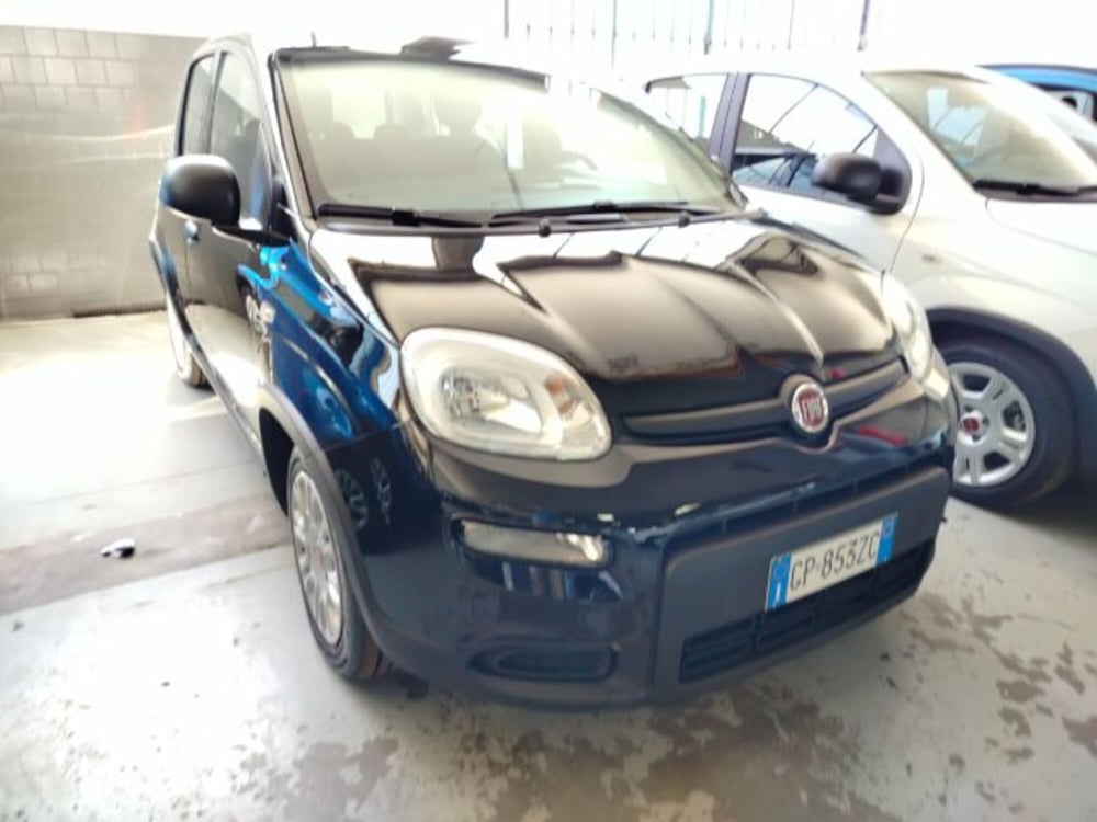 Fiat Panda usata a Forlì-Cesena (2)