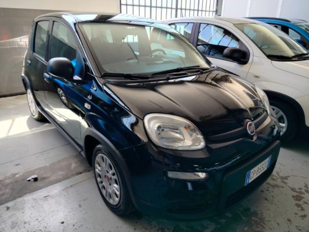 Fiat Panda usata a Forlì-Cesena (3)