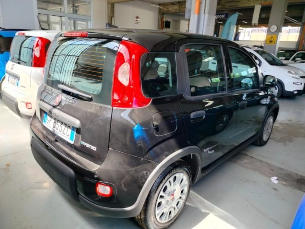Fiat Panda usata a Forlì-Cesena (4)