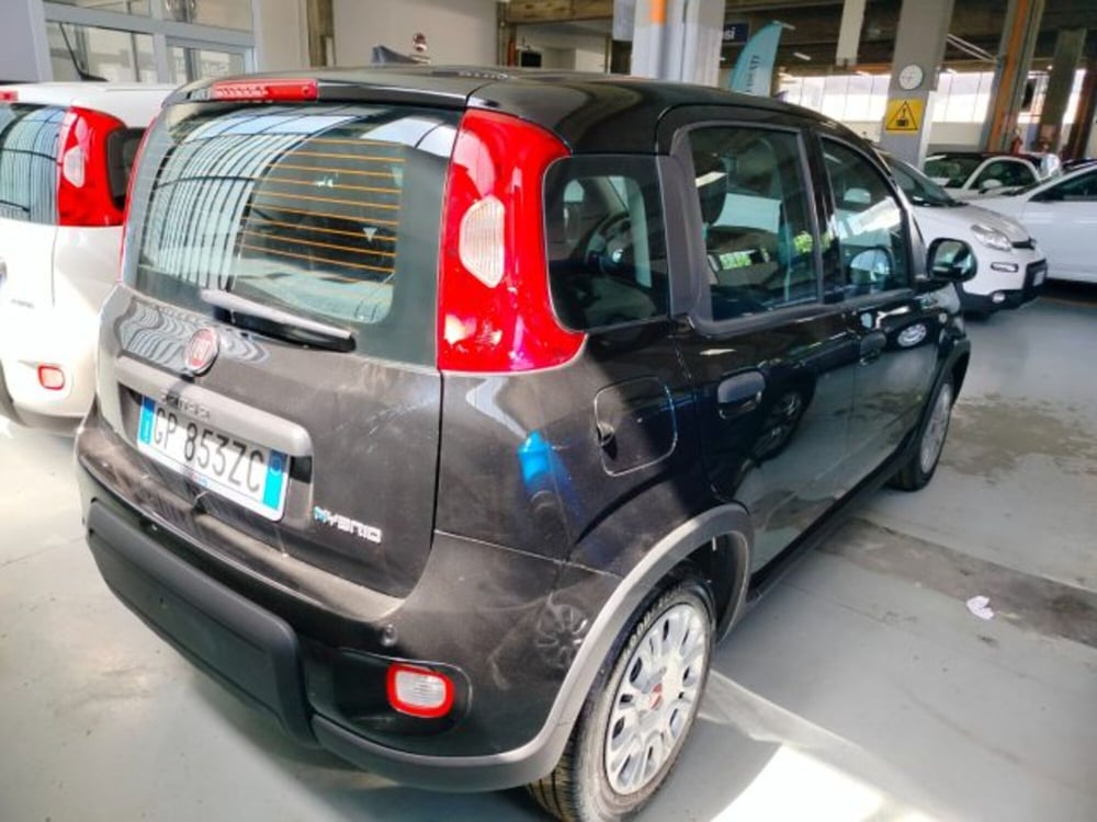 Fiat Panda usata a Forlì-Cesena (5)