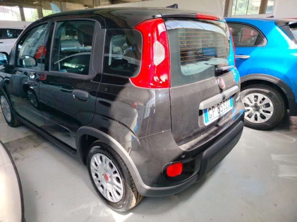 Fiat Panda usata a Forlì-Cesena (6)