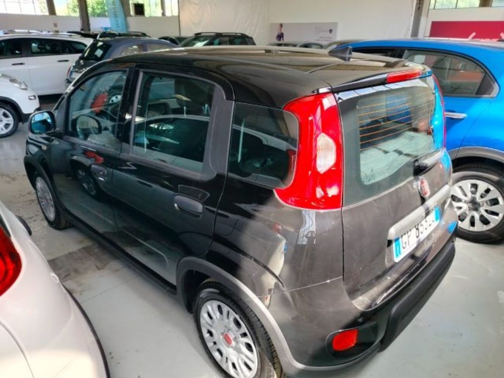 Fiat Panda usata a Forlì-Cesena (7)