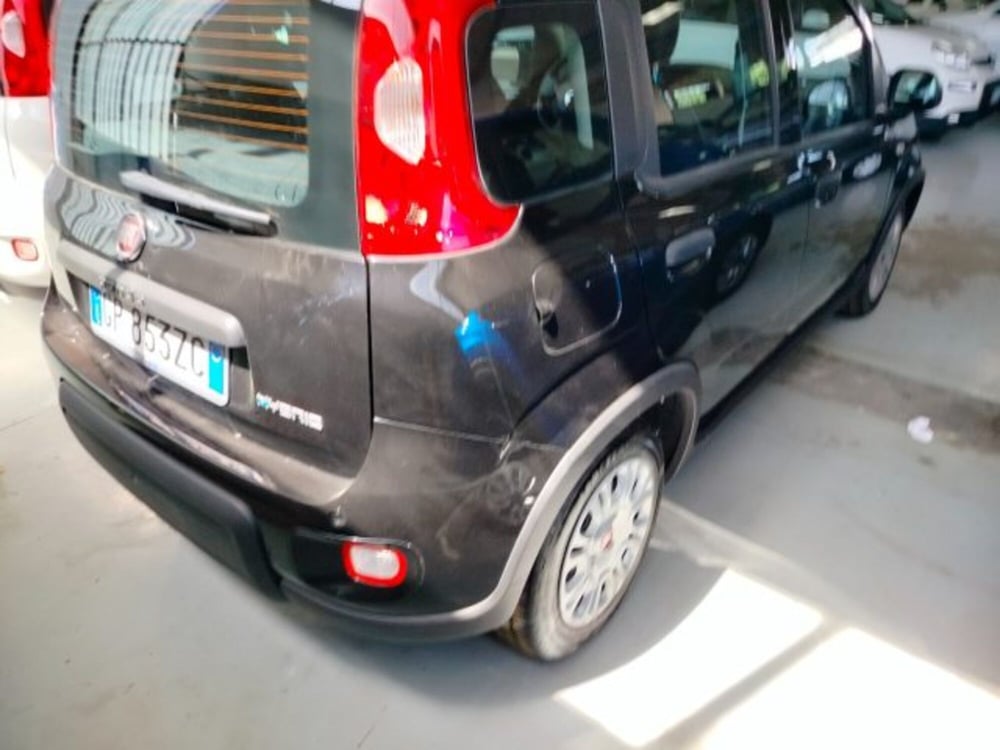 Fiat Panda usata a Forlì-Cesena (8)
