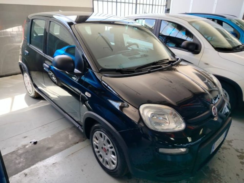 Fiat Panda usata a Forlì-Cesena (9)