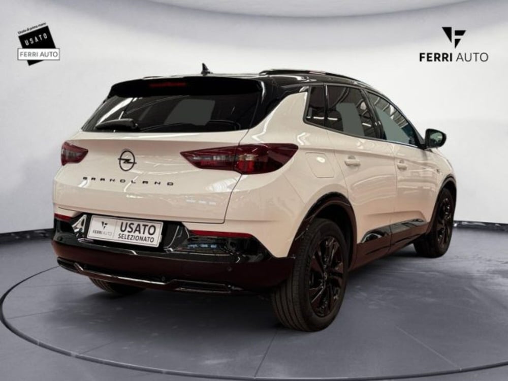 Opel Grandland usata a Treviso (7)
