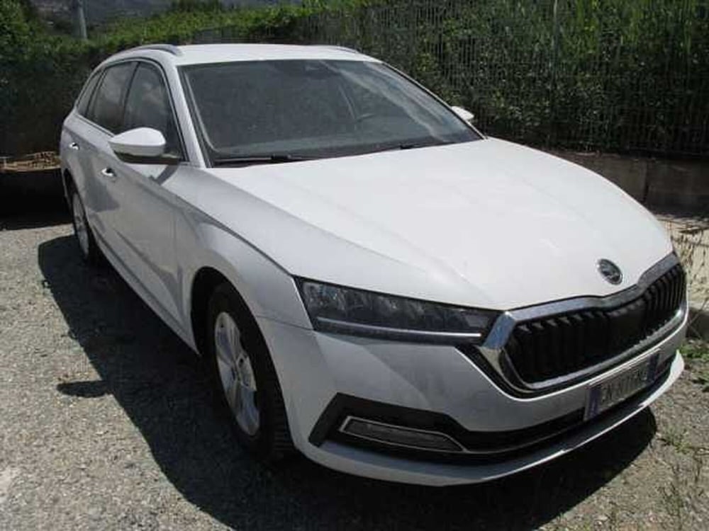 Skoda Octavia usata a Verona