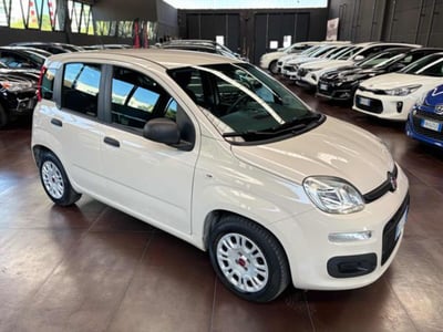 Fiat Panda 1.2 Pop del 2017 usata a Pesaro