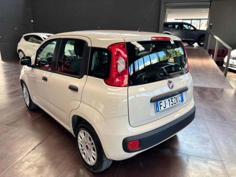 Fiat Panda usata a Pesaro-Urbino (2)