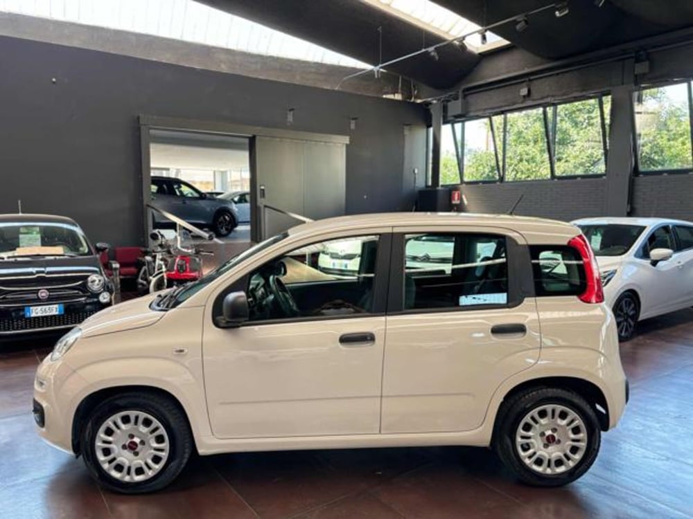 Fiat Panda usata a Pesaro-Urbino (3)